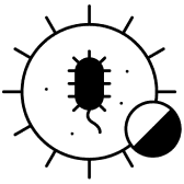 Prevent dirt & dust mites